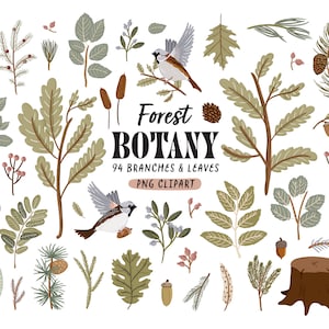 Digitale plantkunde clipart PNG handgetekende vogel bos bloemen bladeren illustratie, botanische bruiloft clipart, bloemenprints frame individueel png