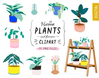 Home Plant Gardening Clipart, GoodNotes stickers, House Plants, Digital Garden Elements, Home Jungle, Plant lady, Succulent, PNG Download