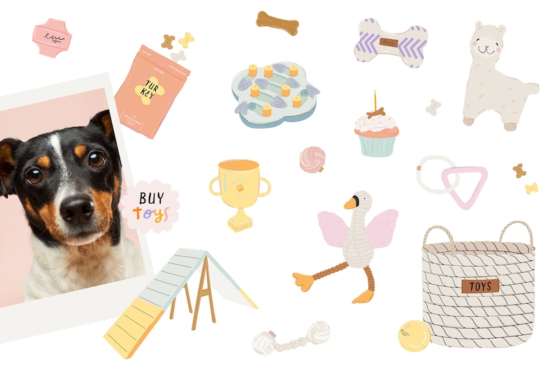 May include: A collection of dog toys, including a plush llama, a swan, a bone, a rope toy, a treat dispenser, a cupcake, a trophy, a dog agility ramp, a basket with the word "TOYS" on it, and a bag of turkey dog treats. The image also includes a photo of a black and white dog.