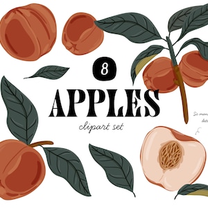 Apples Clipart Summer Fruits Illustration. Digital Summer Harvest Food Icons, Red Apples with Leaves Illustration, Vector Sublimation PNG.