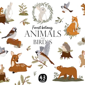 Bos dieren clipart vogels illustraties plantkunde illustratie betoverde bos dieren beer Fox eekhoorn Haas herten digitale PNG Instant Download