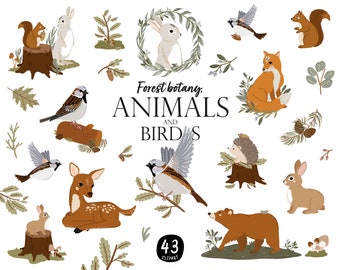 Woodland Animals Clipart: Forest Creatures & Botany Illustrations (Digital PNG)