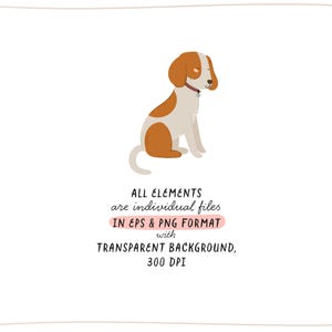 May include: A cartoon illustration of a brown and white dog sitting with its head tilted to the side. The dog has a black collar with a tag. The image is on a white background.
