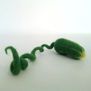 Cucumber felt cat toy, Cat gift, Felted cat toy, Spiral cat toy
