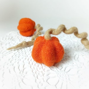 Cat toys - Halloween pumpkin with spiral, Pet gifts, Felted cat toy