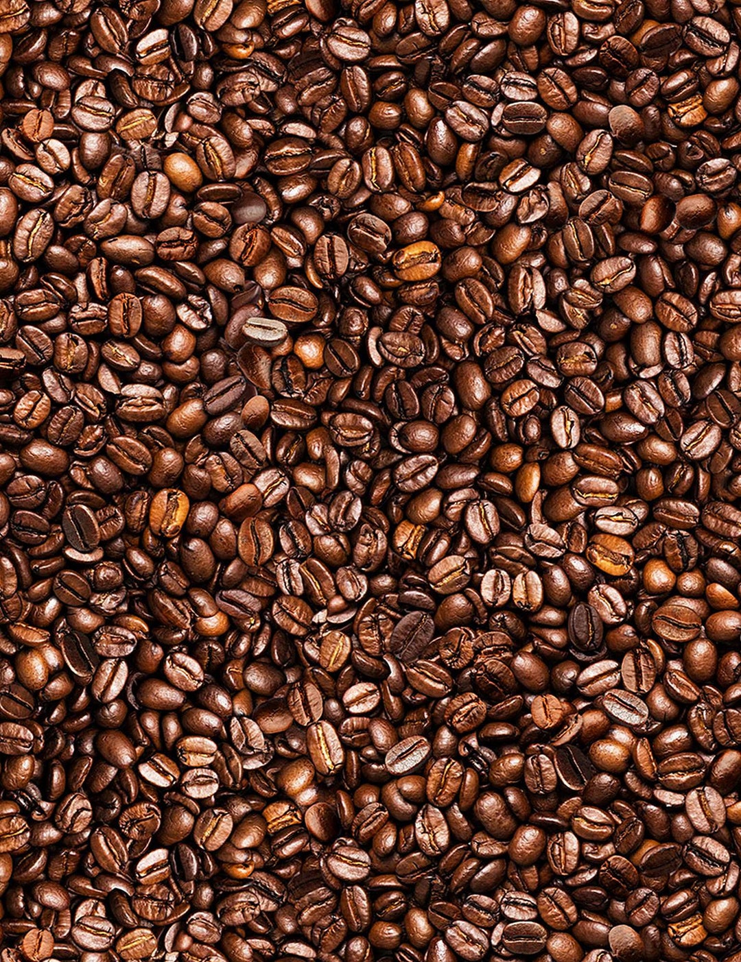 Coffee Bean Fabric, Timeless Treasures, 100 Woven Cotton, C8958 Etsy