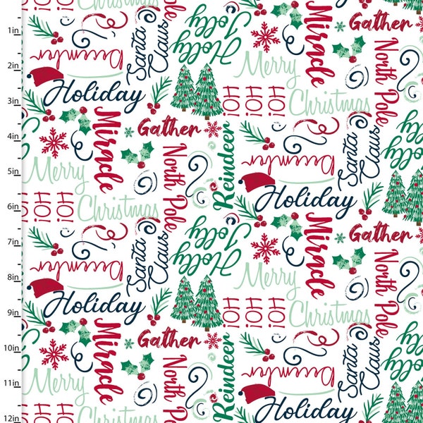 Christmas Wording on White Fabric, Believe by 3 Wishes Fabric, 100% Cotton, 18089-WHT-CTN-D