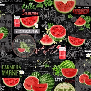 Watermelon Fabric on Black, Fruit Fabric, Timeless Treasures, 100% Cotton, CD1920