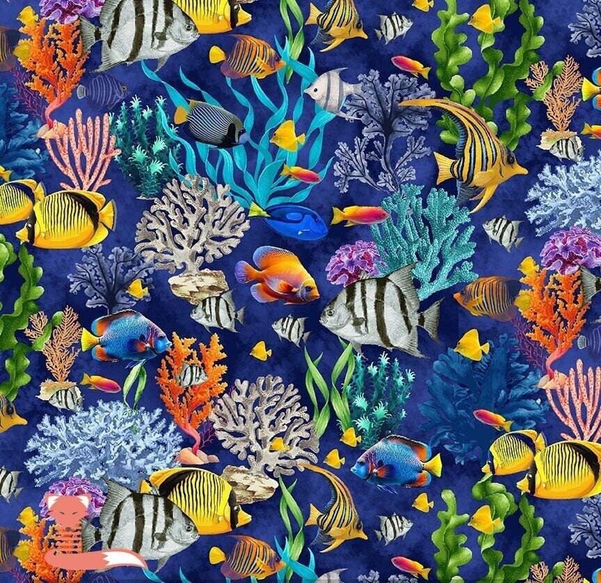Reef Spotlight - REEF OF THE MONTH - October 2023: Victory