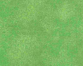 Surface Screen Texture in Green Fabric, Timeless Treasures, 100% Cotton, SURFACE-C1000  GREEN
