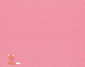 Remnant 20", Big Bad Wolf Pink, To Grandmother's House, Riley Blake Designs, 100% Cotton, C14378-PINK