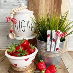 Ladybug themed Wooden bead loop sugar bowl spoon and clothes pins for potted plants or tiered tray rim / decor