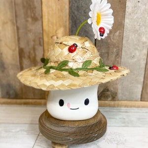 Ladybug themed Marshmallow mug straw farmer hat with beautiful daisy spring / summer farmhouse tiered tray.