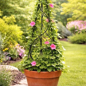 May include: A black metal garden obelisk supports climbing vines and pink flowers, set in a large terracotta pot. The obelisk is approximately 6 feet tall, creating a vertical accent in a garden setting.