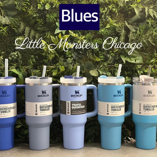 Stanley Cup 40 Oz Chambray Etsy