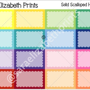 Multicolored Solid Scalloped Half Boxes