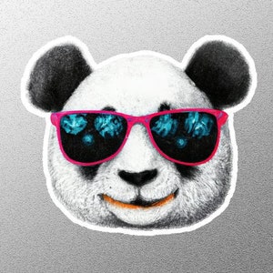 Pegatina Cara De Panda, Pegatina De Panda, Pegatina De Panda Cudo, Pegatina De Amante De Panda, Pegatina de Panda Con Gafas, Pegatina de Panda Divertido