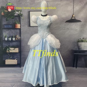 Princess Cinderella Dress Skirt Cinderella Cosplay Costume Adult Woman Girls Personalized Size