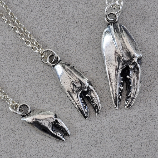 Silver Crab Claw Necklace, Real Crab Claw Pendant, Alternative Necklace, Cancer Zodiac Gift, Cancer Necklace, Cord Choker, Nature Lover Gift