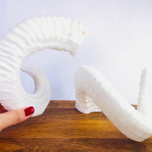 Cuernos de Cosplay, Cuernos para Cosplay, Cuernos Cosplay, Cuernos de Carnero, Cuernos de Carnero Demonio, Cuernos de Dragón Blanco, Cosplay, Cuernos, Cuernos, Cuerno, Traje