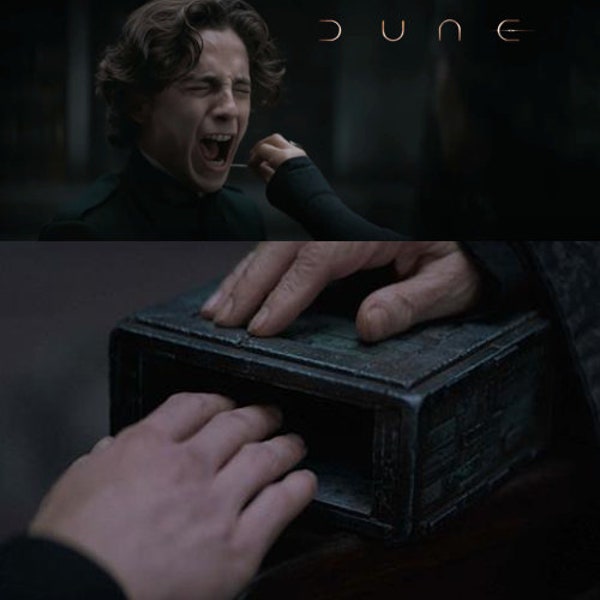 Dune Box of Pain Replica - 3D-Printed DIY Cosplay Accessory Kit in 3 Colors - Limited Edition Dune Cosplay