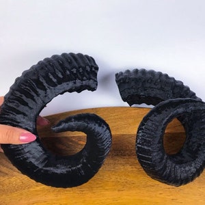 Cuernos Negros, Cuernos para Cosplay, Cuernos Cosplay, Cuernos de Carnero, Cuernos de Carnero Demonio, Cuernos de Dragón Blanco, Cosplay, Cuernos, Cuernos, Cuerno, Traje