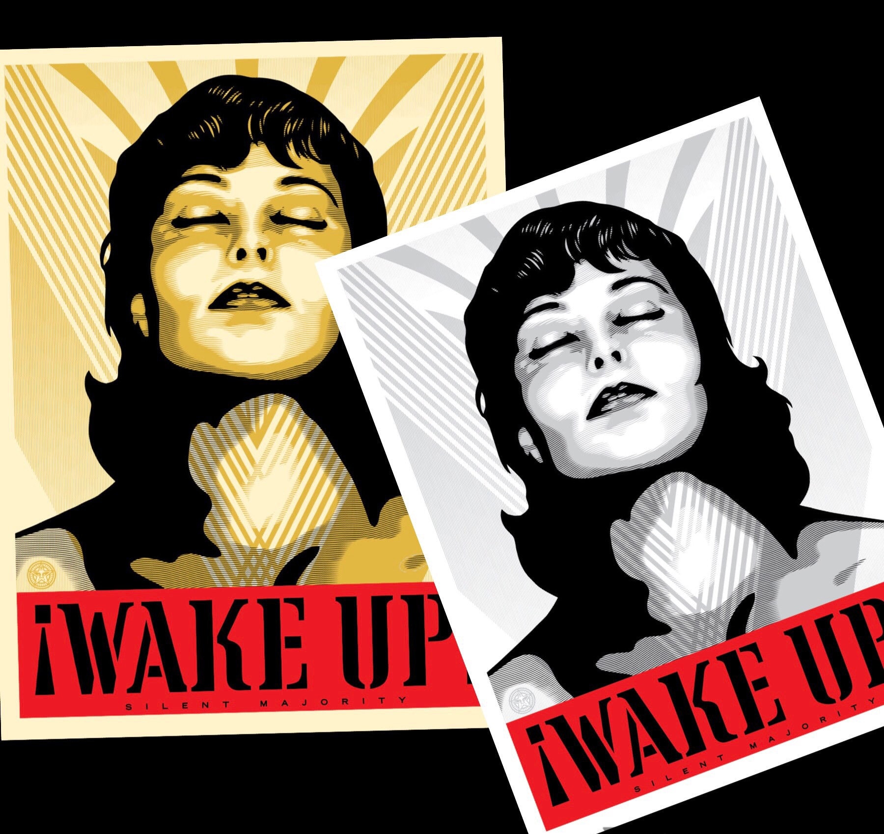 WE THE PEOPLE ~ Washington Womens March *historic Prints* - Etsy