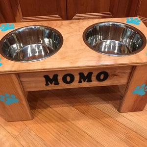 Free Shipping! Pet Feeders,  Handmade (Large Size-10" Height) with Customizable Colors and Names!
