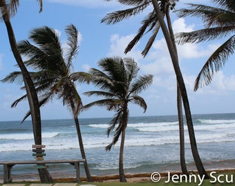 Ocean Breeze print