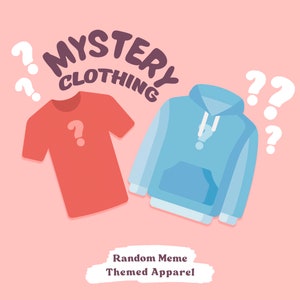 Abbigliamento misterioso Maglietta, maglione o felpa con cappuccio casuali / Offerta borsa misteriosa Divertente e carino Riempitivo per calze Scatola cieca Scatola di scorta scontata Meme Lucky Dip