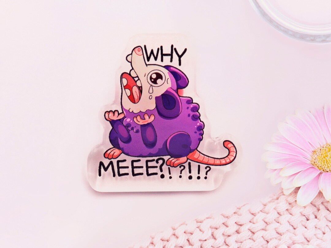 Why Me Possum Badge Screaming Possum Pin Mood Unusual Funny - Etsy UK