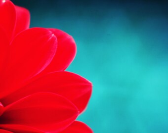 Red Flower