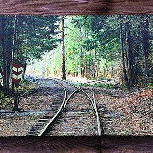 Choices, Mount Rainier Railroad, Railroad, Train, Forest, Woods, Washington State, Pacific Northwest