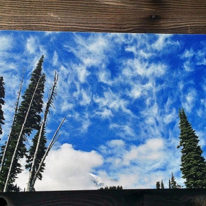 Mt. Rainier Making Weather, Paradise, Clouds, Trees, Mt. Rainier National Park