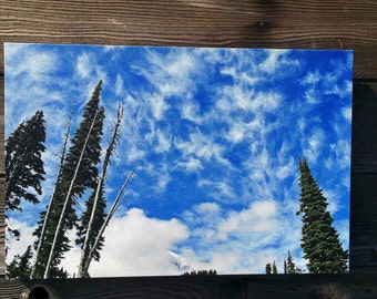 Mt. Rainier Making Weather, Paradise, Clouds, Trees, Mt. Rainier National Park