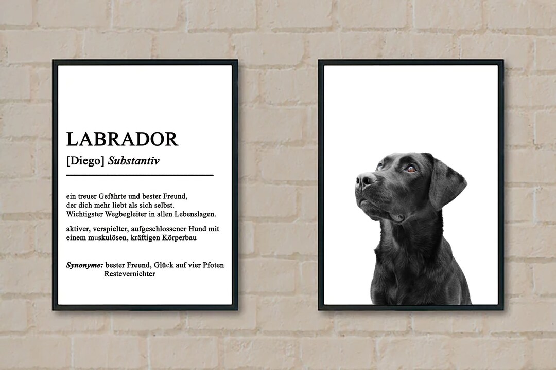 Poster Labrador Definition Labrador 2 Poster Etsy.de