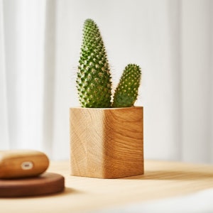 Sukkulenten Pflanzer aus Holz, Zimmerpflanzentopf , kleiner Blumentopf, Mini Sukkulenten Pflanzer, Geschenk für Mama