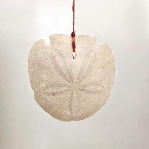 May include: A light-colored sand dollar pendant with a star-like pattern. The pendant is suspended by a thin, reddish-brown string. The sand dollar has a natural, textured appearance, and is set against a plain white background.