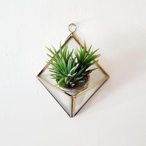 Geometric Terrarium: Hanging Prism Glass Succulent Planter
