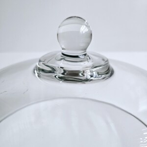 May include: A clear glass cloche with a round knob on top. The cloche is designed to cover and protect food.