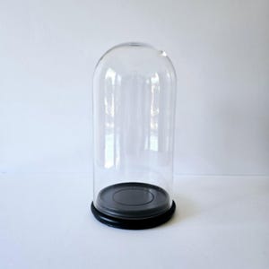 glass cloche 10&quot; vintage display cloche