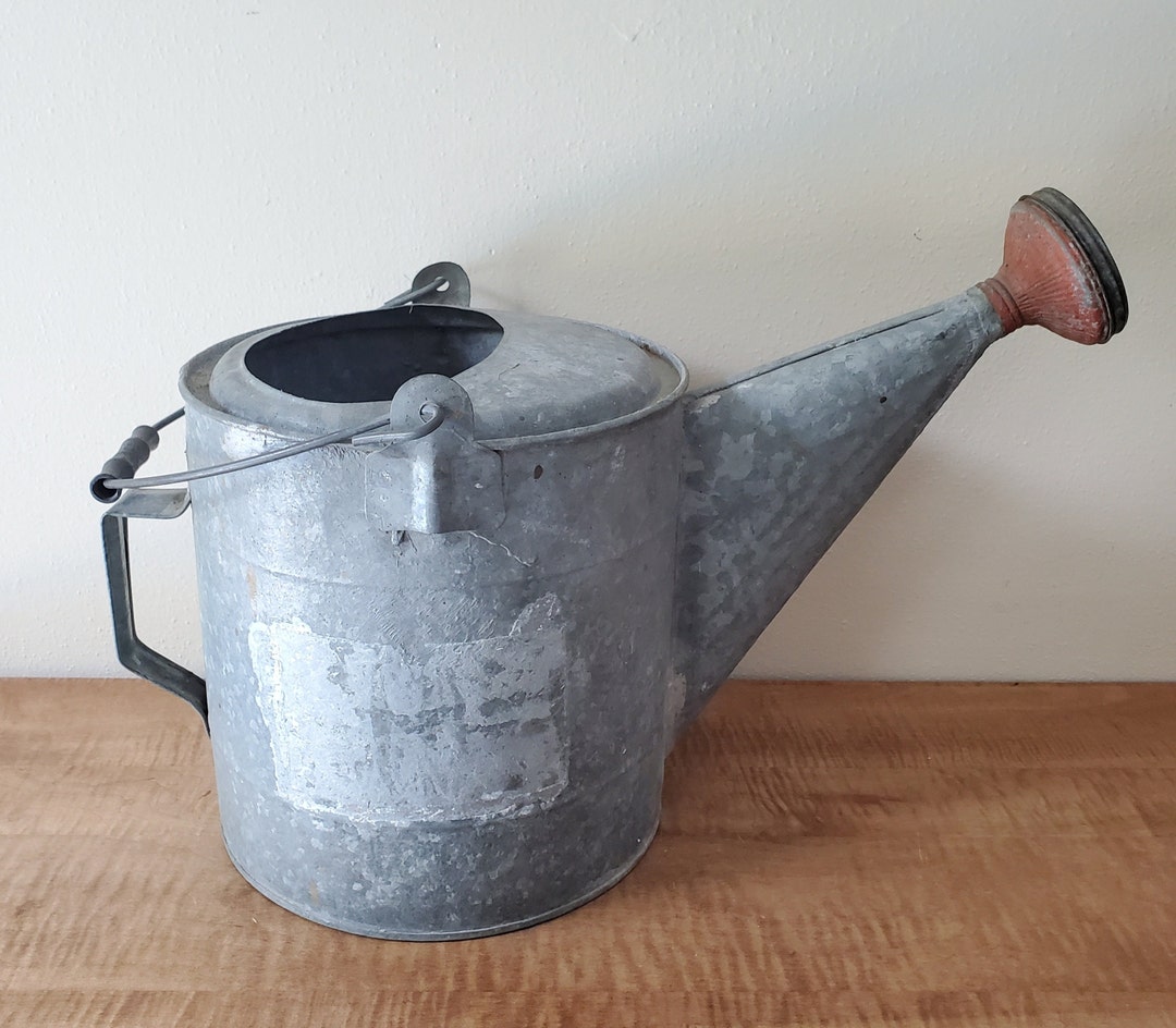Galvanized Watering Can Planter Urban Farmhouse Decor Etsy