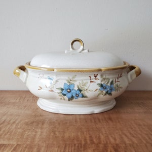 Vintage Mikasa Garden Club Day Dreams Covered Serving Dish, Excellent
