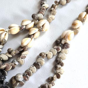 May include: Close-up of several strands of shell necklaces. The necklaces are made of various sizes and shapes of seashells, with a mix of cream, brown, and tan colors. The shells are strung together, creating a natural and organic aesthetic.