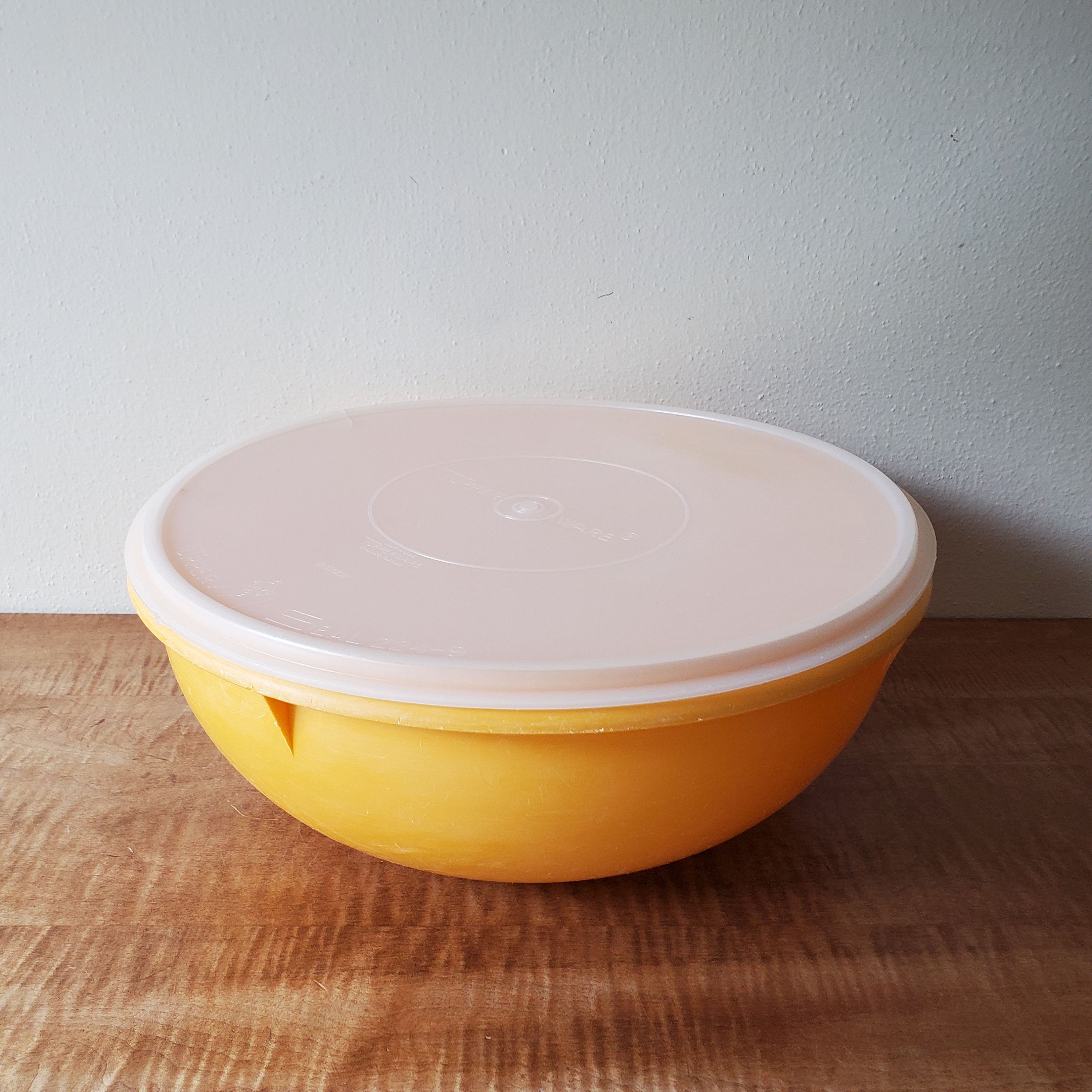 Large Tupperware Bowl 10 L bowl 42 cups for Sale in Duluth, GA