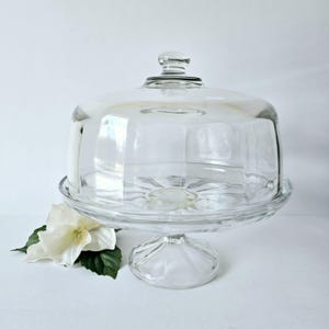 pedestal glass cake stand with dome vintage glass paneled dome and cake stand holds 10&quot; cake