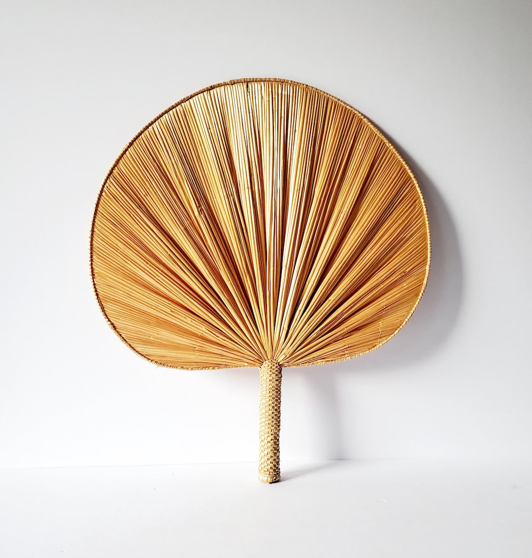 Rattan Fan 14