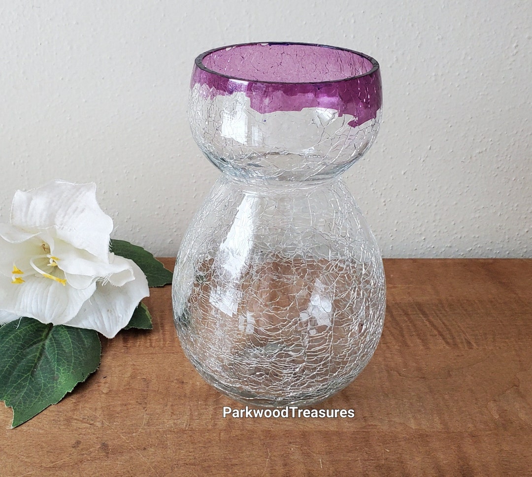 Vintage Bulb Forcing Vase Clear Glass Hyacinths Bulb Forcing Etsy