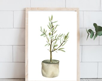 Olive Tree Print - Farmhouse Wall Decor - Botanical Print - Instant Digital Download - Spring Home Decor - Gift for Plant Lover