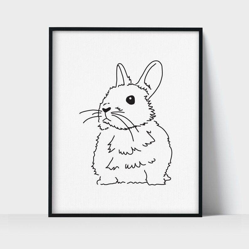 Netherland Dwarf Bunny Rabbit Pet Line Art Drawing Unframed Etsy